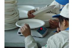China Compostable Sugarcane Container manufacturer