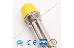China Industrial Electric Coil Water Screw Immersion Heater Heating Element 3000 Watt supplier