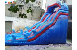 China Giant Dolphin Outdoor Inflatable Water Slides , Three Line Inflatable Water Slide Pool supplier
