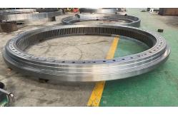 China Double Row Thrust Ball 42CrMo Slewing Ring Bearing And Stacker Bearing supplier