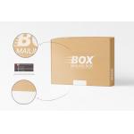 Silk Screen Printing Mailing Shoe Box Custom Printing Express Gift Box