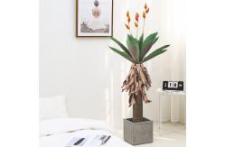 China SGS Plastic Artificial Foliage Tree Architectural Landscaping For Dining Room supplier