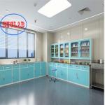 Adjustable Shelves Treatment Cupboards with Stainless Steel Hanlde for Hospital Disposal Room for sale