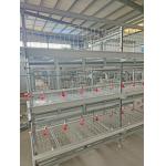 Battery Cage System Features Four Tiers And Is Designed For 120 Birds With Automatic Ventilation. for sale