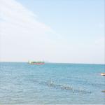 Lcl Fcl Sea Freight Forwarder Service To Worldwide for sale