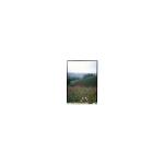 5.5 Inch LS055B1SX01B LCD Panel with Touch For Mobile Phone for sale