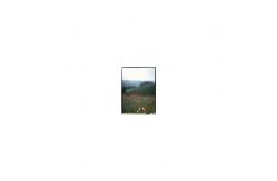China 5.5 Inch LS055B1SX01B LCD Panel with Touch For Mobile Phone supplier