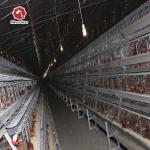 Hens Layer Egg Chicken Cage Automatic Feeding System for sale