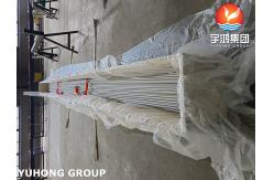 China Stainless Steel Seamless 310H Tubes ASME SA213 for HRSG Applications supplier