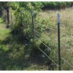 Wholesale High Tensile Twist Galvanized Barbed Wire 14gauge with 3or 4inch barb distance for sale