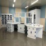 Modular Chemistry Lab Furniture Export Plywood Package Wood Construction for sale