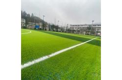 China 40mm Green Artificial Turf Grass Pet Friendly Customizable supplier