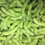 4cm Length Frozen Edamame Pods IQF Whole Food Plant Based A Grade for sale