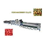 dates cleaning drying grading machine, dates sorting machine for sale