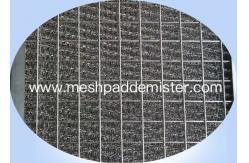 China Customized Mesh Pad Mist Eliminator 304/316/316l Stainless Steel Pp supplier