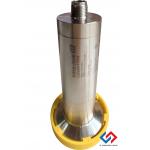 China Endress+Hauser Liquipoint FTW33 Capacitance Level Sensor with Hygienic Certificates Conductive Foam Detection and CIP/SIP Suitable factory