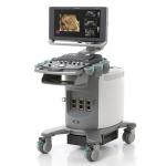 Siemens Acuson X300 PE Trolley Color Doppler With Linear TVS Probes Hospital for sale