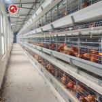 Automated Poultry Equipment 4-8 Tier Hot-Dip Galvanized Egg Collecting Cage