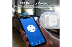 China Power Intelligent Tuya Smart Socket SDK Remote Control Power Socket supplier