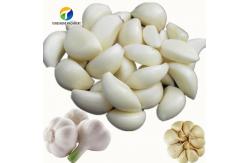 China OEM Electric Garlic Processing Machine Skin Removing Equipment supplier