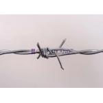 Hot Dipped Galvanized Barbed Wire for Mesh Security Fencing for sale