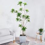 Artificial special-shaped dracaena Reflexa tree green home deco hotel office potted tree