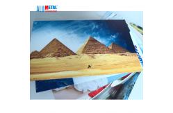 China Signage 1220mm PE Aluminum Composite Panel Fireproof ACM Antibacterial supplier