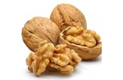 China Naturals Walnut Halves & Pieces 1 lb, 100% XinJiang Unsalted Walnuts for Baking supplier