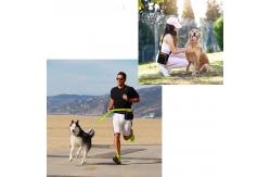 China Pet Snack Folding Dog Bowl Tear Resistant With Garbage Roll Carrying Bag supplier