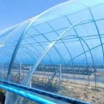 High Strength Plastic Agricultural Film Offering Excellent UV Resistance