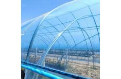 China High Strength Plastic Agricultural Film Offering Excellent UV Resistance supplier