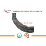 Tankii Alloy Chromel Alumel Thermocouple Rod 10mm With Oxidized Color In 650mm Length 700mm Length for sale