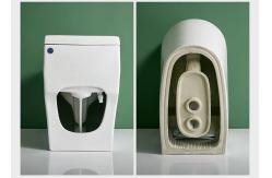 China One Piece Dual Flush Sanitary Ware Toilet Floor Mounted 3D Design supplier