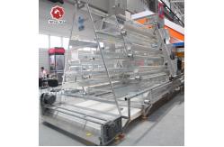 China Hot Galvanized Poultry Farm House Layer Chicken Cage Machine Animal Cage supplier