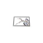 13.3 inch LQ133T1JW22 16.7M 100%sRGB CELL TFT-LCD Display Screen for sale