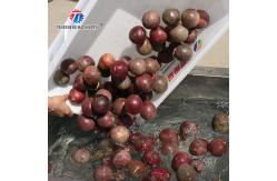 China 2Pcs/Min Fruit And Vegetable Automatic Elevator Food Conveying supplier