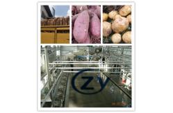 China Automatic 110kw Sweet Potato Starch Machine 18t/H Cassava Cutting Machine supplier