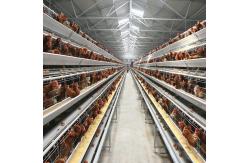 China H Shaped Small Stacked Layer Chicken Cage 6 Layers Customized supplier
