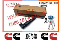China Cum-mins M11 PT Fuel Injector 3087648 3406604 3071497 4914328 3079946 supplier