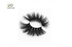 China Multilayer ODM 20MM 3D Volume Eyelash Extensions supplier