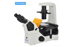 China OPTO EDU A16.1063 LED Inverted Fluorescence Microscope supplier