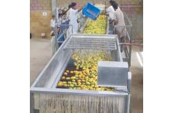 China 380V 50Hz Pineapple Processing Line For Concentrated Juice supplier