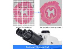 China Research Scientific Full Auto Motorized Opto-Edu Binocular Biological Microscope A12.1095 supplier