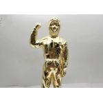 Disease Resistance Hero zinc alloy 250mm Height Custom Trophy Awards for sale