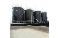 China Bio Digester Biogas Production Project Bio Gas Plant Installation supplier
