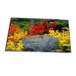65.0 inch LD650EQY-SNA1 LCD display panel 3840*2160 51 Pins for sale