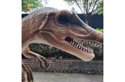 China Small Size  4M Waterproof Allosaurus Animatronic Exhibition Dinosaurs supplier