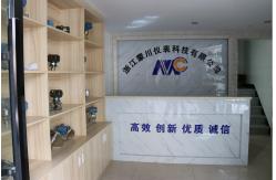 China Stainless Steel Pressure Gauge manufacturer