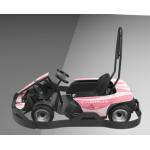 Quick Charge Electric Go Kart Pro With 4 Wheels Drive Seats Adult Fast Speed for sale