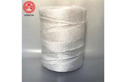 China Round White 130m/Kg Hay Bale Twine With Split Film baler twine amazon supplier